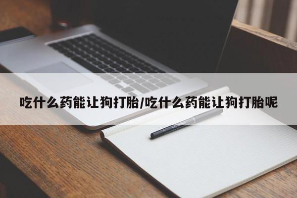 买打胎药米非司酮片流产药微信买吃什么药能让狗打胎/吃什么药能让狗打胎呢