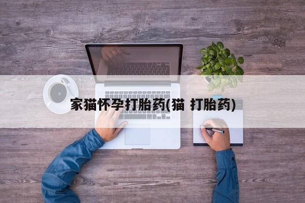 买打胎药米非司酮片流产药微信买家猫怀孕打胎药(猫 打胎药)